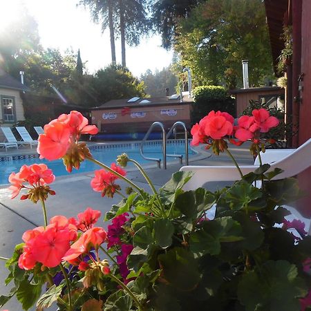 Riverlane Resort Guerneville Exteriör bild